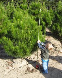 Measuring